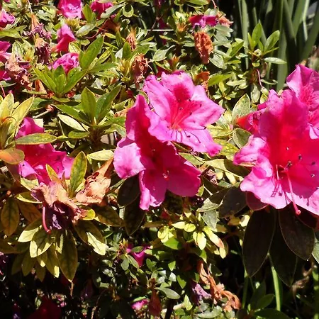 Quinta Da Fonte Guest house 3*
