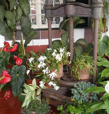 Guest house Quinta Da Fonte Funchal (Madeira)